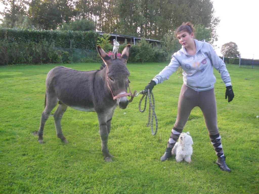 Gite Et Relais Equestre De Marie Tours-en-Vimeu ภายนอก รูปภาพ