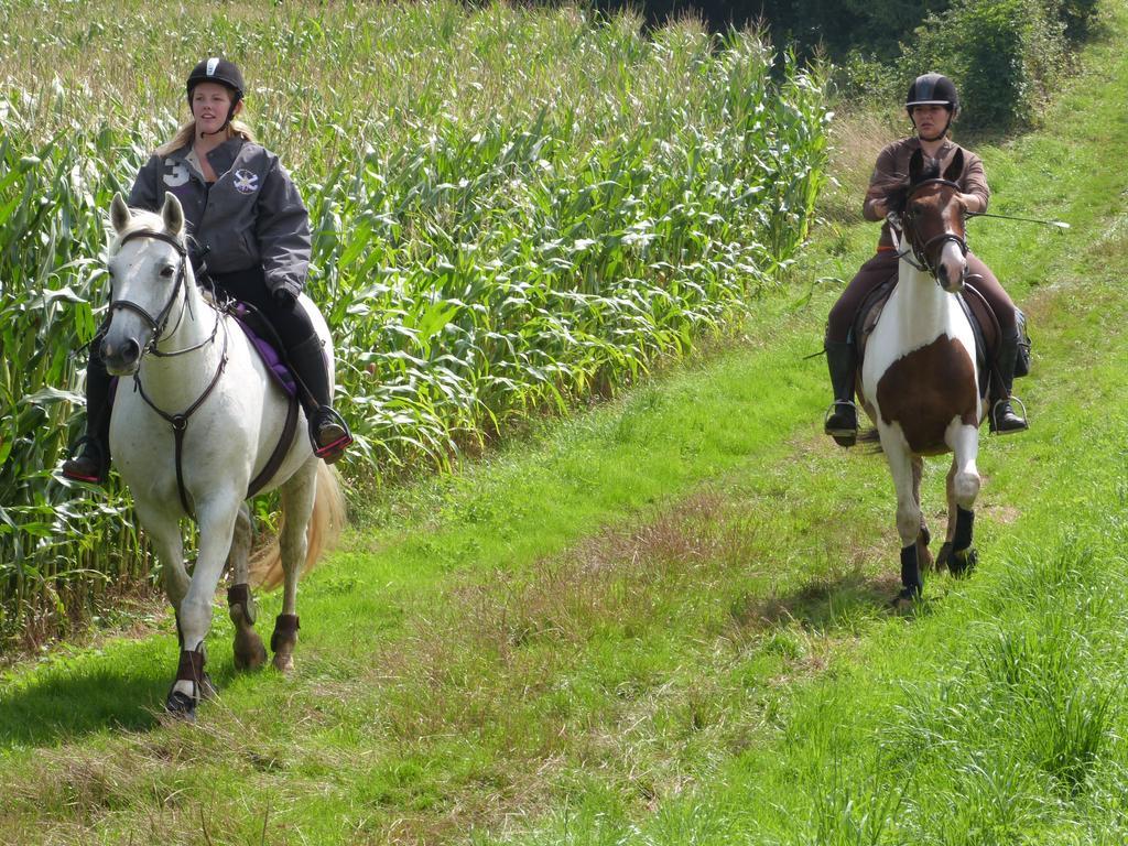 Gite Et Relais Equestre De Marie Tours-en-Vimeu ภายนอก รูปภาพ
