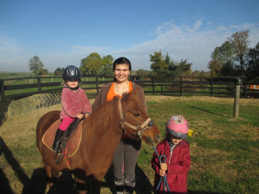 Gite Et Relais Equestre De Marie Tours-en-Vimeu ภายนอก รูปภาพ