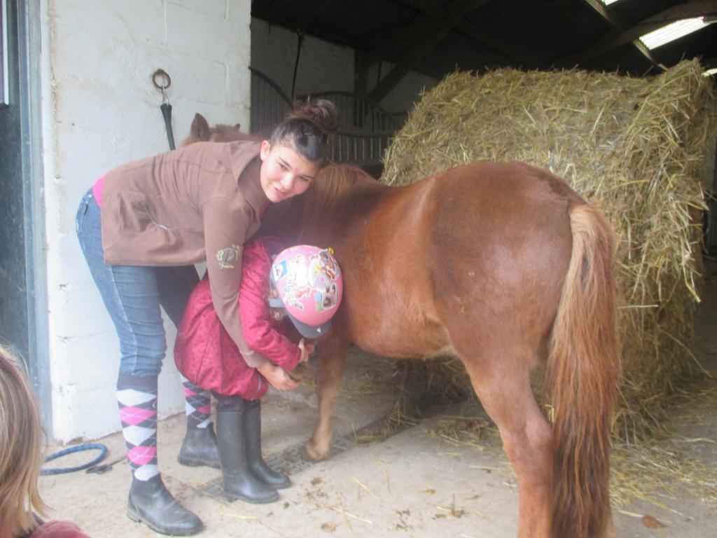 Gite Et Relais Equestre De Marie Tours-en-Vimeu ภายนอก รูปภาพ