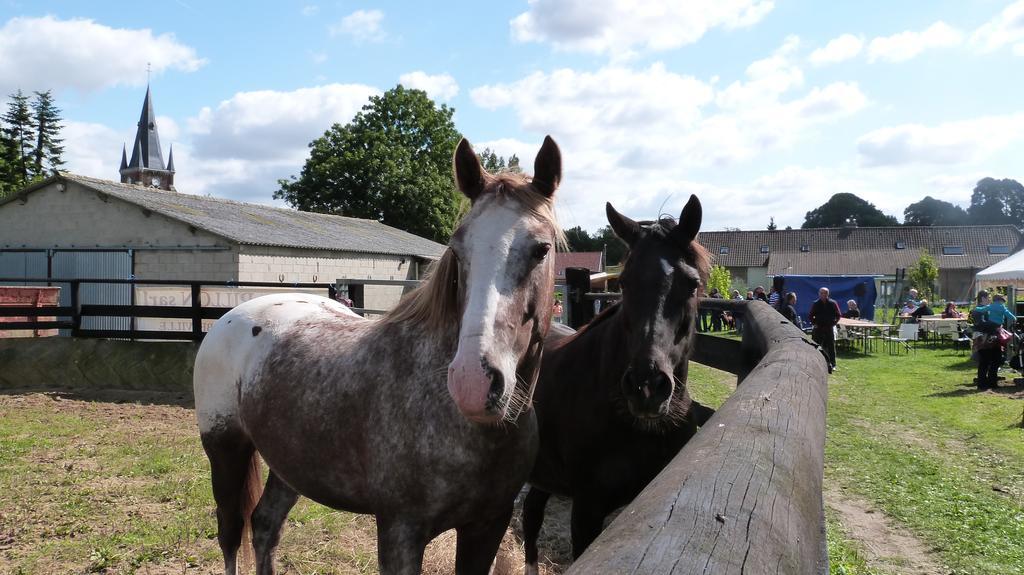 Gite Et Relais Equestre De Marie Tours-en-Vimeu ห้อง รูปภาพ