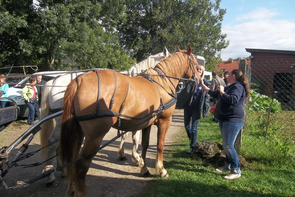 Gite Et Relais Equestre De Marie Tours-en-Vimeu ห้อง รูปภาพ