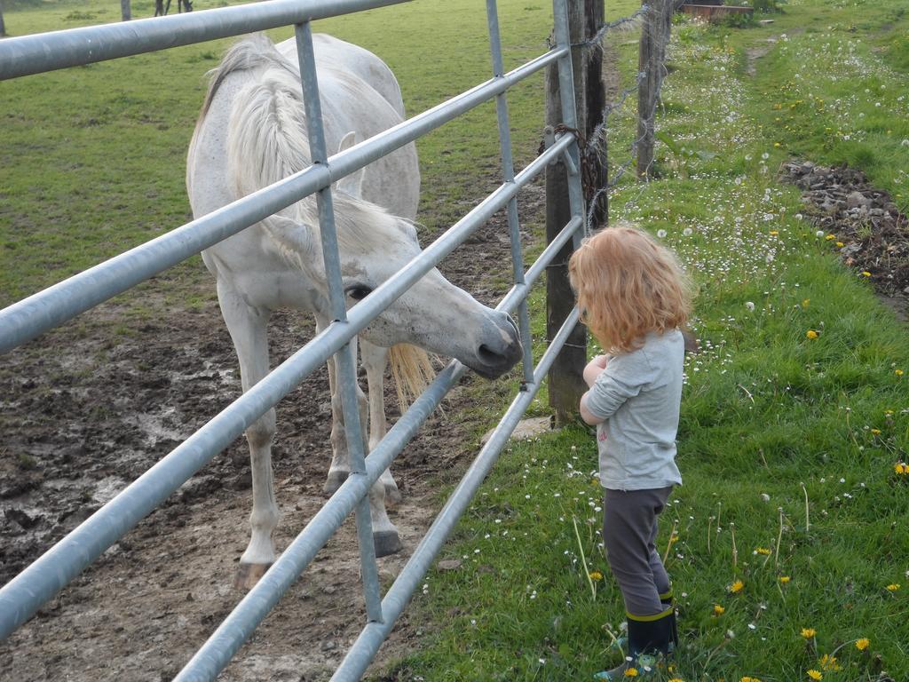 Gite Et Relais Equestre De Marie Tours-en-Vimeu ห้อง รูปภาพ
