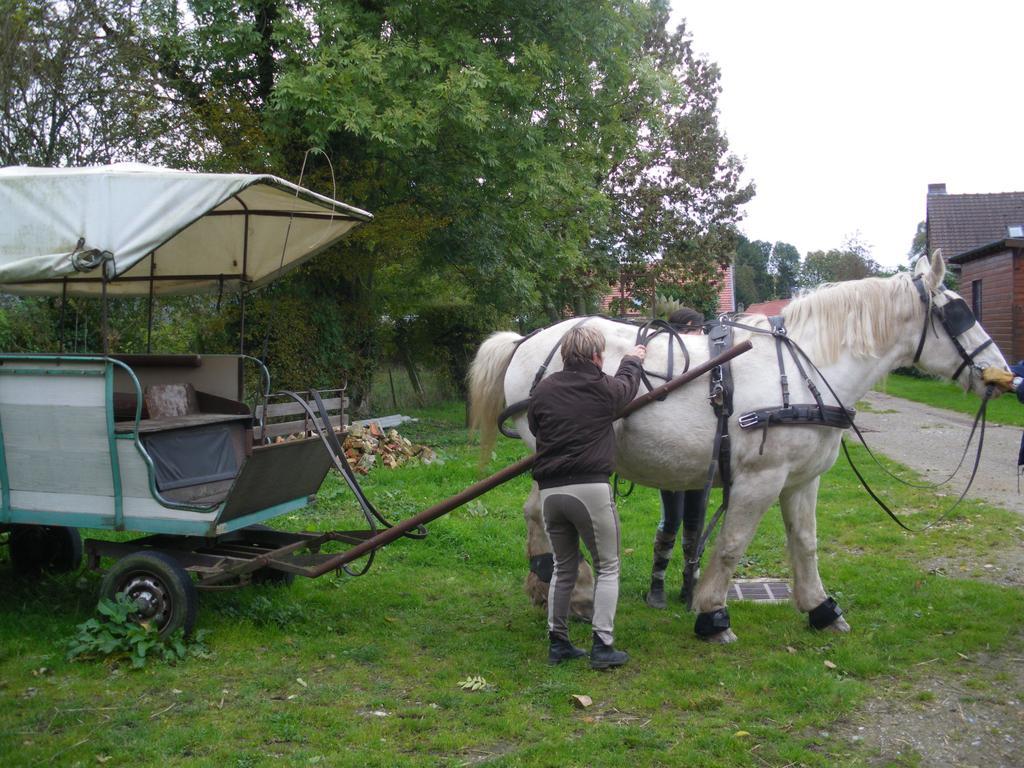 Gite Et Relais Equestre De Marie Tours-en-Vimeu ห้อง รูปภาพ