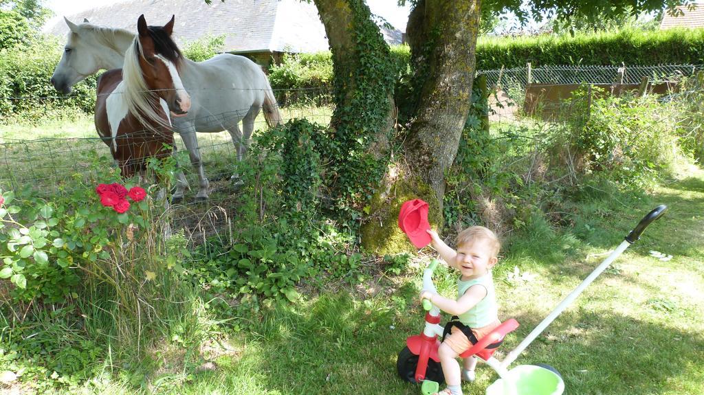 Gite Et Relais Equestre De Marie Tours-en-Vimeu ภายนอก รูปภาพ