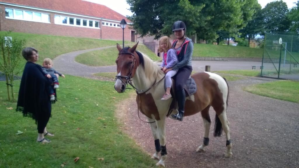 Gite Et Relais Equestre De Marie Tours-en-Vimeu ภายนอก รูปภาพ