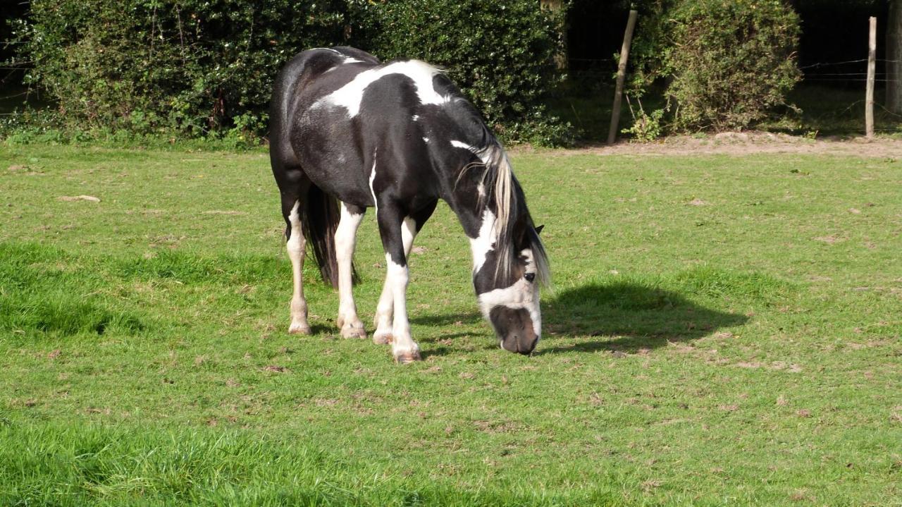 Gite Et Relais Equestre De Marie Tours-en-Vimeu ภายนอก รูปภาพ